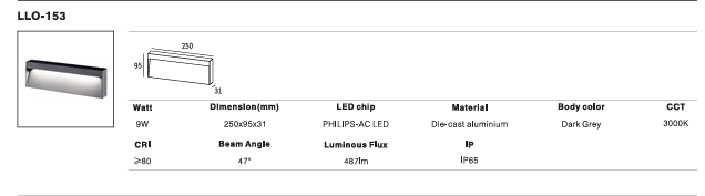 LED Outdoor Wall Light P-100
