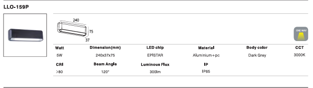LED Outdoor Wall Light P-110