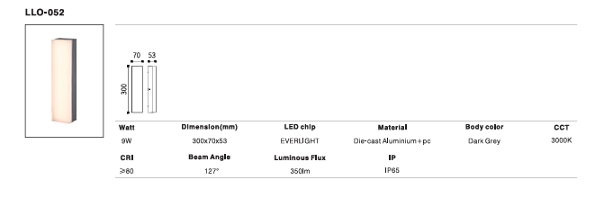 LED Outdoor Wall Light P-112