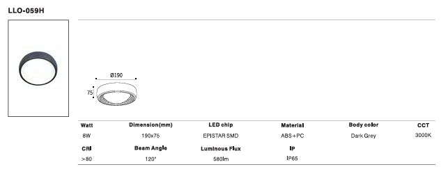 LED Outdoor Wall Light P-113
