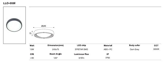 LED Outdoor Wall Light P-114