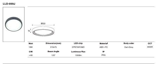 LED Outdoor Wall Light P-115