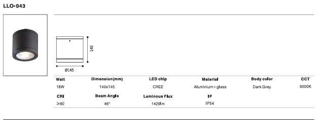 LED Outdoor Wall Light P-116