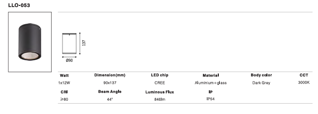 LED Outdoor Wall Light P-119