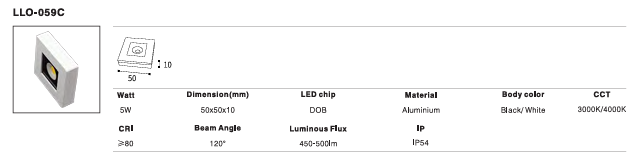 LED Outdoor Wall Light P-124