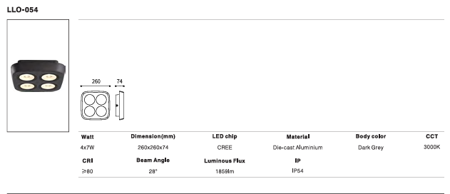 LED Outdoor Wall Light P-126