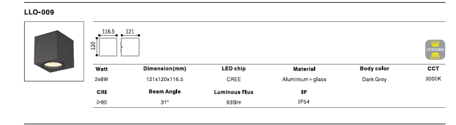 LED Outdoor Wall Light P-013