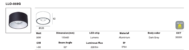 LED Outdoor Wall Light P-130