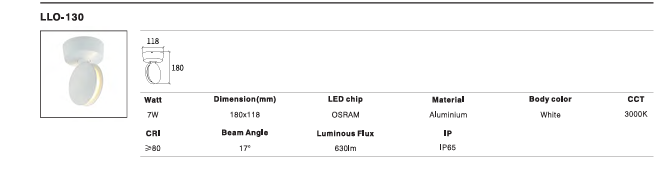 LED Outdoor Wall Light P-132