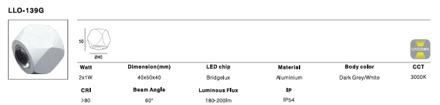 LED Outdoor Wall Light P-136