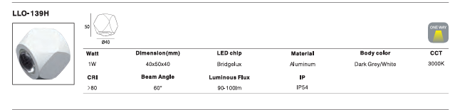 LED Outdoor Wall Light P-137