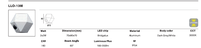LED Outdoor Wall Light P-138