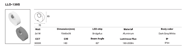 LED Outdoor Wall Light P-140