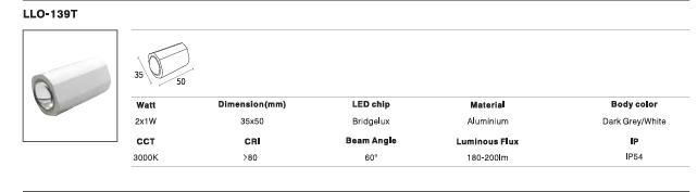 LED Outdoor Wall Light P-141