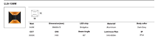 LED Outdoor Wall Light P-145