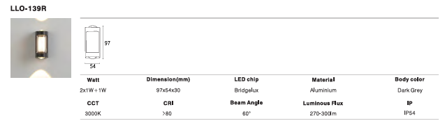 LED Outdoor Wall Light P-150
