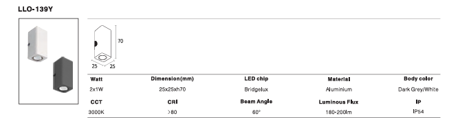 LED Outdoor Wall Light P-153