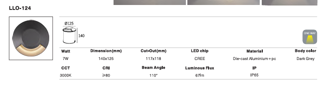 LED Outdoor Wall Light P-164