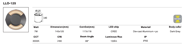 LED Outdoor Wall Light P-165