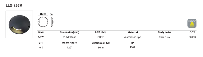 LED Outdoor Wall Light P-174