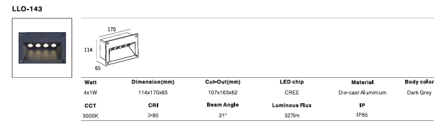 LED Outdoor Wall Light P-188