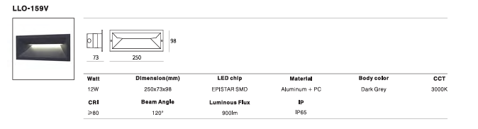LED Outdoor Wall Light P-194