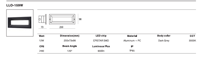 LED Outdoor Wall Light P-195