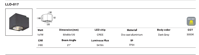 LED Outdoor Wall Light P-020