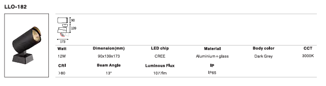 LED Outdoor Wall Light P-208