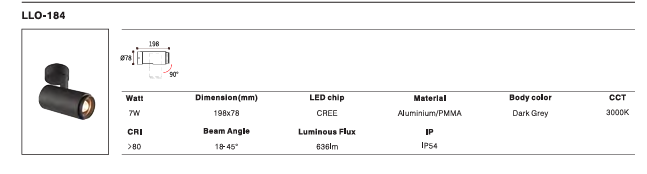 LED Outdoor Wall Light P-210