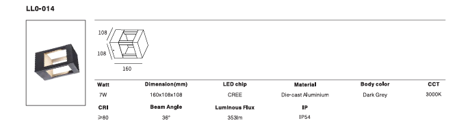 LED Outdoor Wall Light P-233