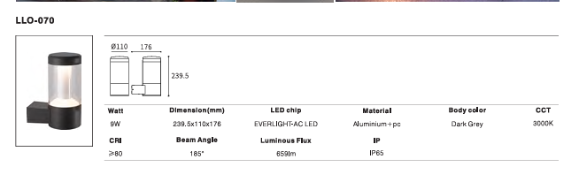 LED Outdoor Wall Light P-239