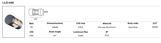 LED Outdoor Wall Light P-249