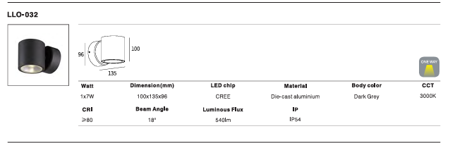LED Outdoor Wall Light P-025