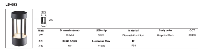 LED Outdoor Wall Light P-250