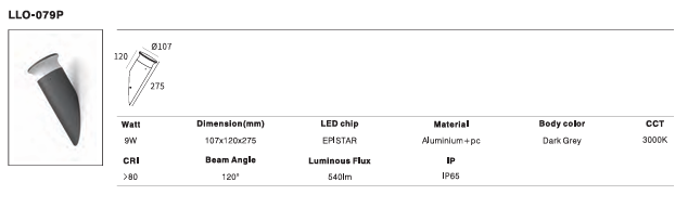 LED Outdoor Wall Light P-270