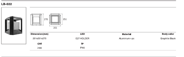 LED Outdoor Wall Light P-300