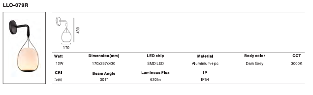 LED Outdoor Wall Light P-377