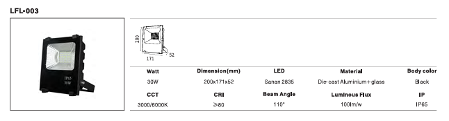 LED Outdoor Wall Light P-384
