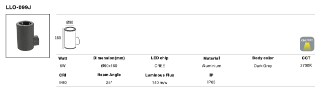 LED Outdoor Wall Light P-040