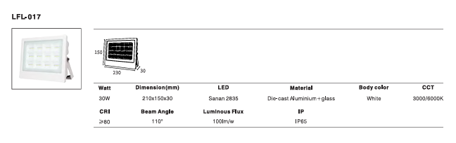 LED Outdoor Wall Light P-400