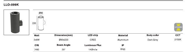 LED Outdoor Wall Light P-041