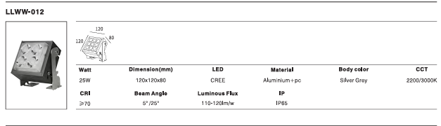 LED Outdoor Wall Light P-416