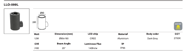 LED Outdoor Wall Light P-042