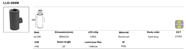 LED Outdoor Wall Light P-043
