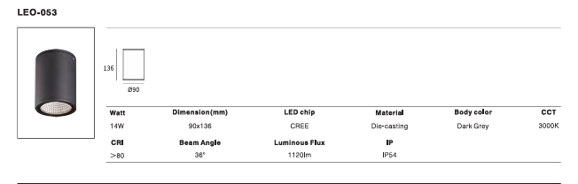 LED Outdoor Wall Light P-458