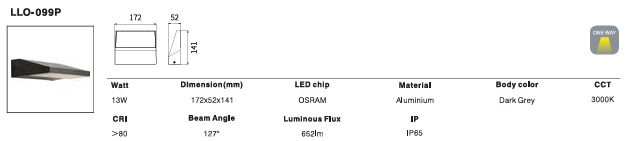 LED Outdoor Wall Light P-046