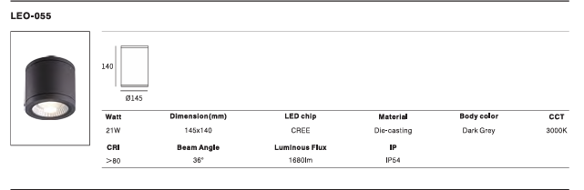 LED Outdoor Wall Light P-460