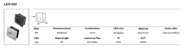 LED Outdoor Wall Light P-462