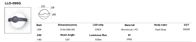 LED Outdoor Wall Light P-048